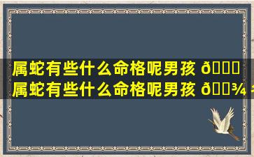 属蛇有些什么命格呢男孩 🐘 「属蛇有些什么命格呢男孩 🌾 名字」